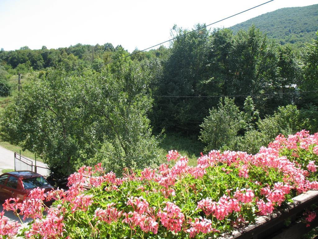 Affittacamere House Zlatko Seliste Dreznicko Esterno foto