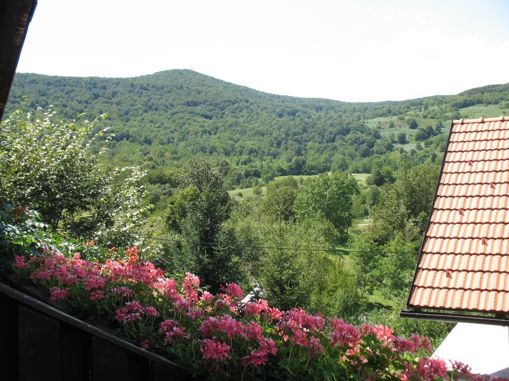 Affittacamere House Zlatko Seliste Dreznicko Esterno foto