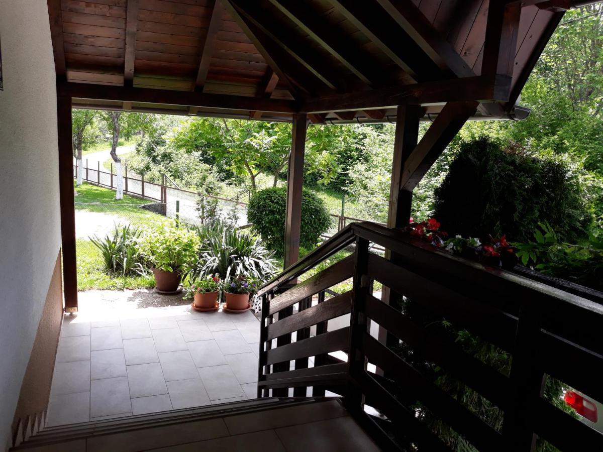 Affittacamere House Zlatko Seliste Dreznicko Esterno foto